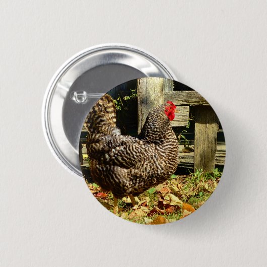 Zwarte en witte kip ronde button 5,7 cm (Voorkant /achterkant)