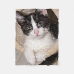 Zwarte en witte kitten fleece deken