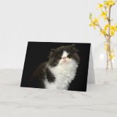 Zwarte en witte kitten kaart (Gele Bloem)