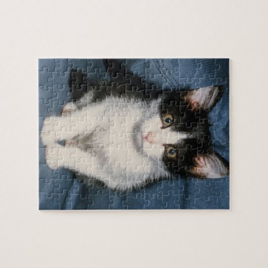 zwarte en witte kittenpuzzel legpuzzel (Horizontaal)