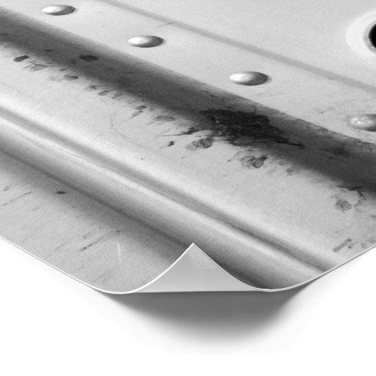 Zwarte en witte Koe in een rundveewagen 16 x 20 Poster (Hoek)