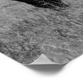 Zwarte en witte Koe met hare 16x20 Poster (Hoek)