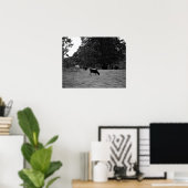 Zwarte en witte Koeien op een heuvel van 16 x 20 Poster (Thuiskantoor)