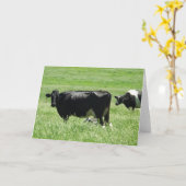 Zwarte en witte Koeien voor het Boerderij Blank Ka Kaart (Gele Bloem)
