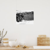 Zwarte en witte koffiebonen en koffiegronden 16x20 poster (Keuken)