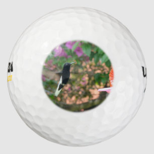 Zwarte en witte kolibrie die vliegt op een feeder golfballen