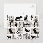  zwarte en witte koninklijke dieren briefkaart (Voorkant / Achterkant)