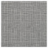 Zwarte en witte kruislijnen stof (Swatch)