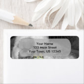 Zwarte en witte kuikens met gele kippen etiket (Insitu)