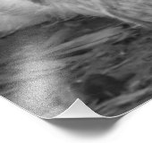 Zwarte en witte kuikens met gele kippen foto afdruk (Hoek)