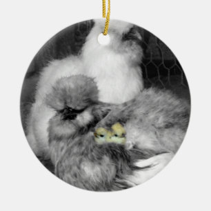 Zwarte en witte kuikens met gele kippen keramisch ornament