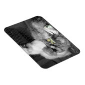 Zwarte en witte kuikens met gele kippen magneet (Rechterzijde)