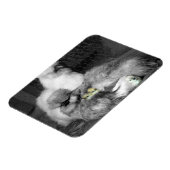 Zwarte en witte kuikens met gele kippen magneet (Linkerzijde)