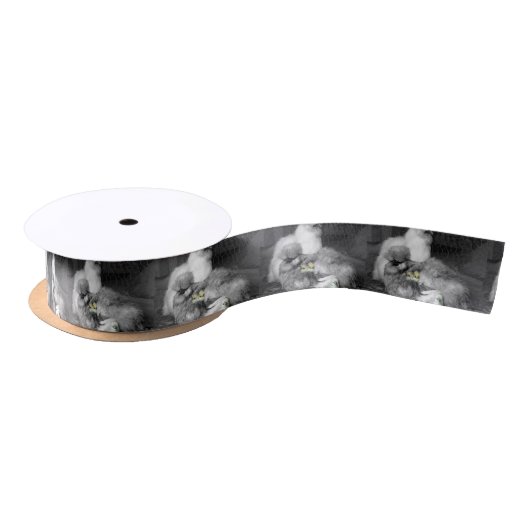 Zwarte en witte kuikens met gele kippen satijnen lint (Spoel)