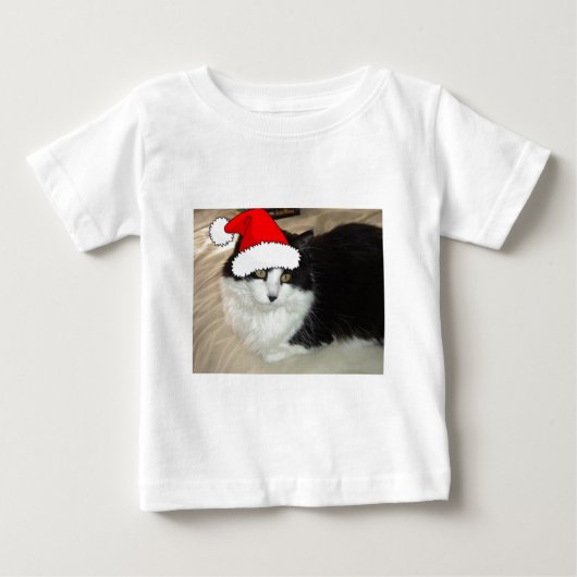 Zwarte en witte langharige kat (Voorkant)