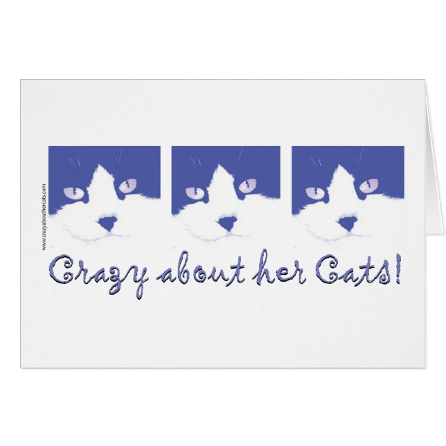 Zwarte en witte langharige kat (Voorkant Horizontaal)