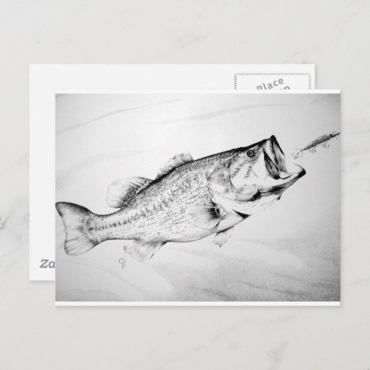 zwarte en witte largemouth bass die op aas jaagt . briefkaart (Voorkant / Achterkant)