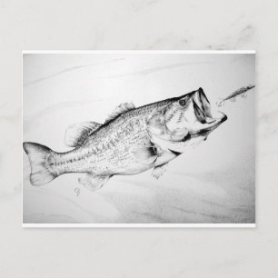 zwarte en witte largemouth bass die op aas jaagt . briefkaart