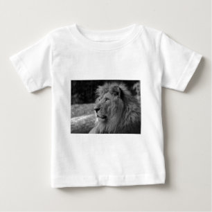 Zwarte en witte leeuw - Wilde dieren