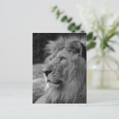 Zwarte en witte leeuw - Wilde dieren Briefkaart (Staand voorkant)