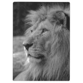 Zwarte en witte leeuw - Wilde dieren Klembord (Achterkant)