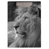Zwarte en witte leeuw - Wilde dieren Klembord (Voorkant)
