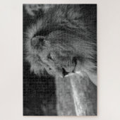 Zwarte en witte leeuw - Wilde dieren Legpuzzel (Verticaal)