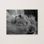 Zwarte en witte leeuw - Wilde dieren Legpuzzel (Horizontaal)