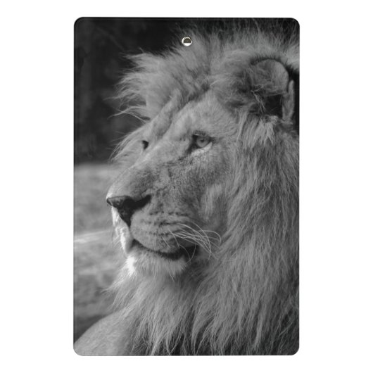 Zwarte en witte leeuw - Wilde dieren Mini Klembord (Achterkant)