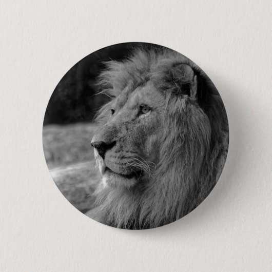 Zwarte en witte leeuw - Wilde dieren Ronde Button 5,7 Cm (Voorkant)