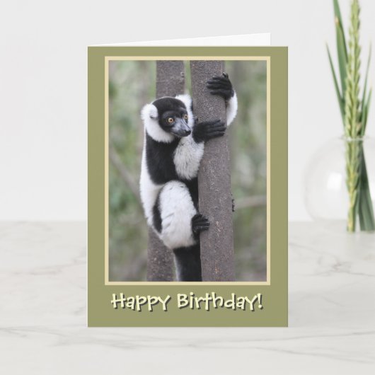 Zwarte en witte Lemur Happy Birthday Kaart (Voorkant)