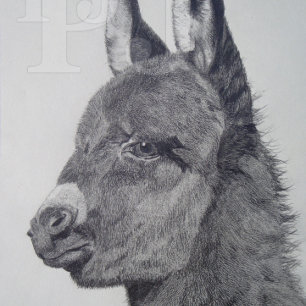 zwarte en witte levensechte tekening van schattige legpuzzel