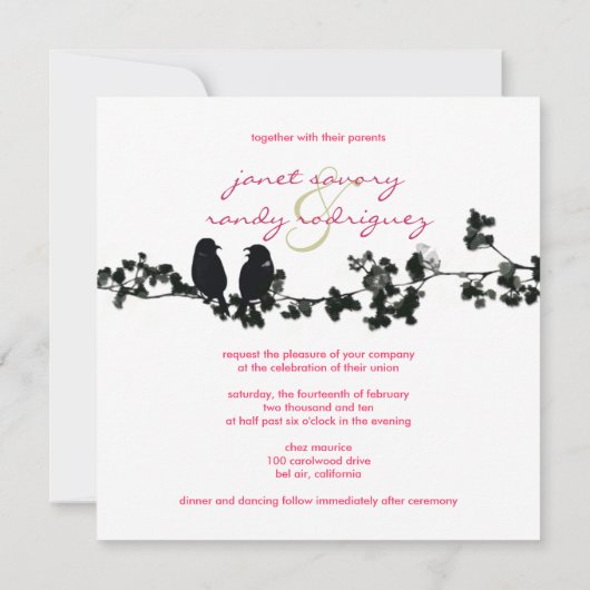 Zwarte en witte liefdesvogels kaart (Achterkant)