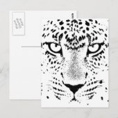 Zwarte en witte luipogen briefkaart (Voorkant / Achterkant)