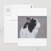 Zwarte en witte Maine Coon kat. Briefkaart (Voorkant / Achterkant)