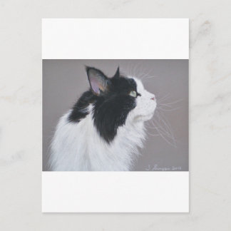 Zwarte en witte Maine Coon kat. Briefkaart