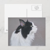 Zwarte en witte Maine Coon kat. Briefkaart (Voorkant / Achterkant)