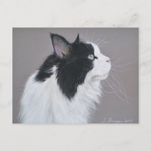 Zwarte en witte Maine Coon kat. Briefkaart (Voorkant)