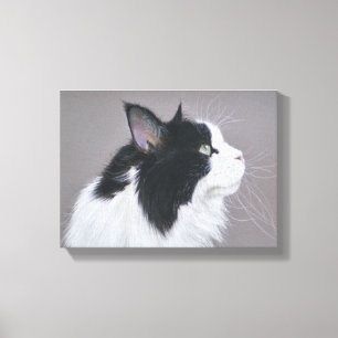 Zwarte en witte Maine Coon-kat Canvas Afdruk