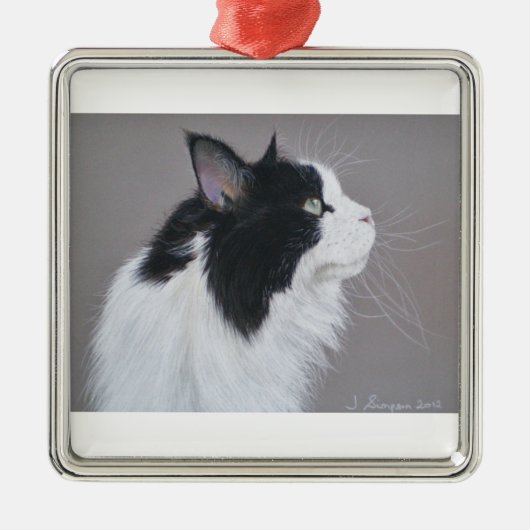 Zwarte en witte Maine Coon kat. Metalen Ornament (Voorkant)