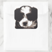 Zwarte en witte Maltese papaverhond Vierkante Sticker (Tas)