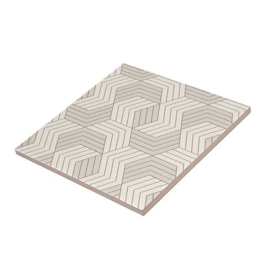 zwarte en witte  meettegels tegeltje (Zijkant)