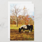 Zwarte en witte miniatuur Pony/paarden Briefpapier (Voorkant / Achterkant)