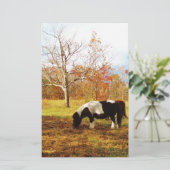 Zwarte en witte miniatuur Pony/paarden Briefpapier (Staand voorkant)