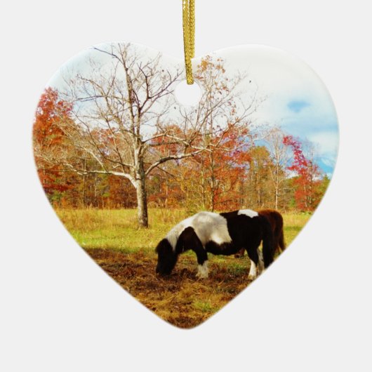 Zwarte en witte miniatuur Pony/paarden Keramisch Ornament (Voorkant)