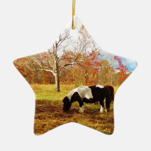 Zwarte en witte miniatuur Pony/paarden Keramisch Ornament (Voorkant)