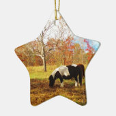 Zwarte en witte miniatuur Pony/paarden Keramisch Ornament (Links)
