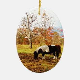 Zwarte en witte miniatuur Pony/paarden Keramisch Ornament