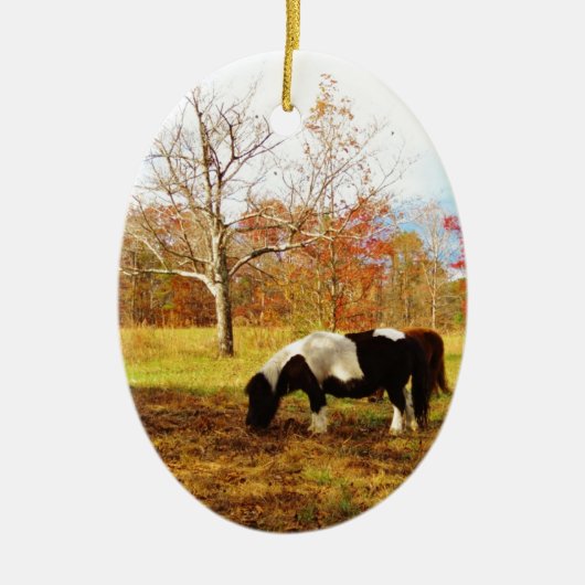 Zwarte en witte miniatuur Pony/paarden Keramisch Ornament (Voorkant)