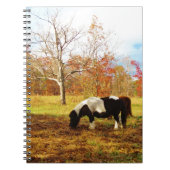 Zwarte en witte miniatuur Pony/paarden Notitieboek (Voorkant)